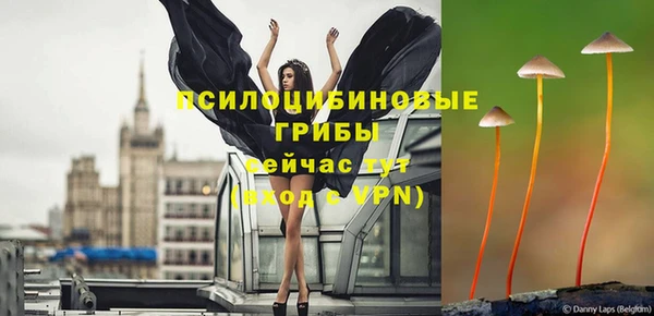 метадон Армянск