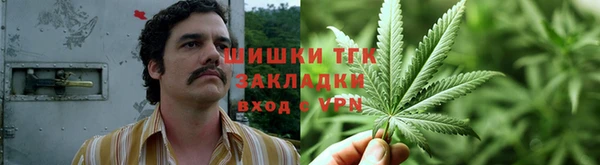 трава Арсеньев
